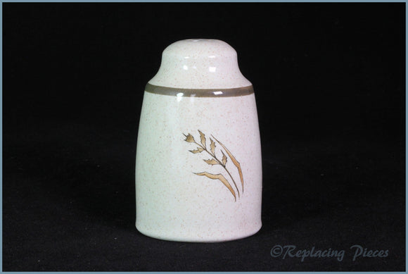 Royal Doulton - Hill Top (LS1025) - Salt Pot (4 hole)