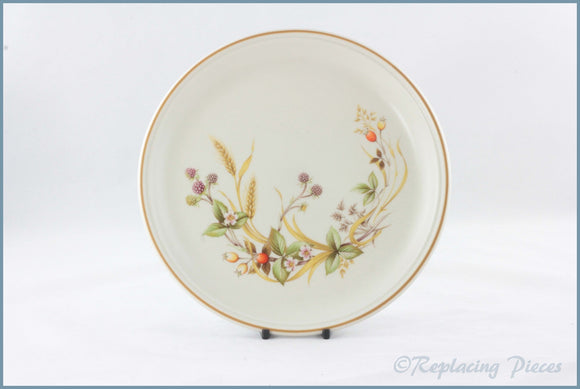 Marks Spencer Harvest Dinner Plate ChinaMatchers