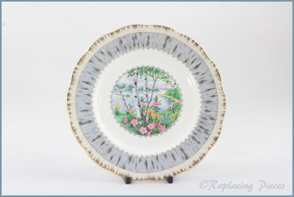 Royal Albert - Silver Birch - Dinner Plate