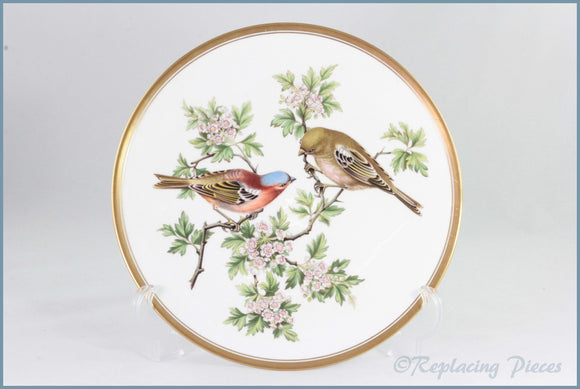 Spode - Garden Birds - Chaffinch