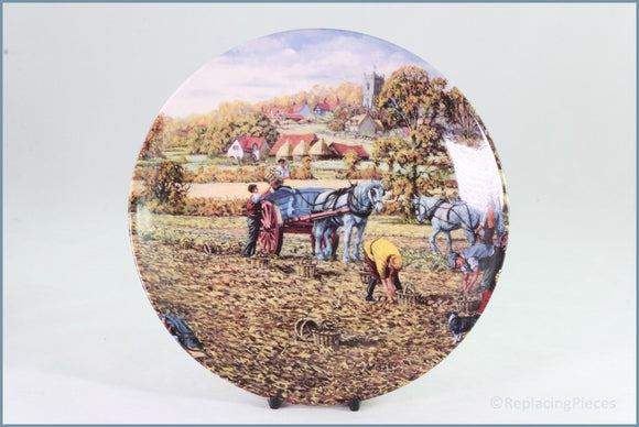 Wedgwood - The Farm Year - Potato Picking - October