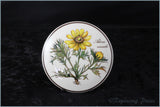 Villeroy & Boch - Botanica - Round Box (Adonis Vernalis)