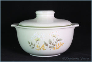 Royal Doulton - Will O The Wisp (LS1023) - 4 Pint Round Casserole