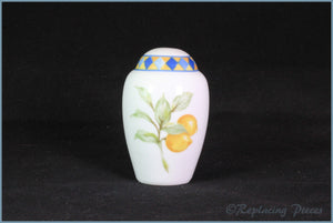 Royal Doulton - Carmina Cuchina - Salt Pot