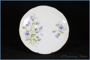 Duchess - Unknown 1 - Tea Saucer (Royal Winchester Backstamp)