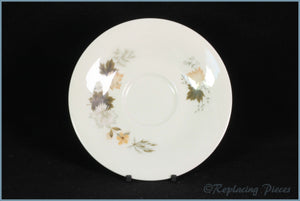 Royal Doulton - Westwood (TC1025) - Tea Saucer